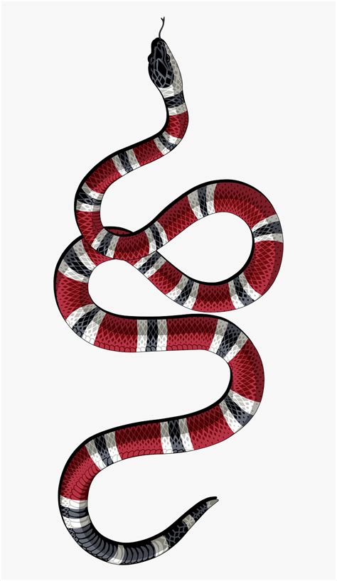 gucci logo snake meaning|why does gucci use snake.